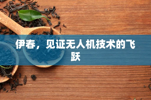 伊春，见证无人机技术的飞跃