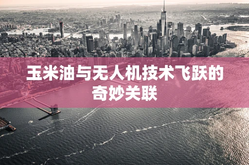 玉米油与无人机技术飞跃的奇妙关联