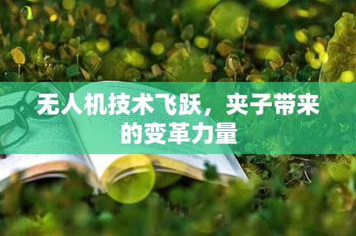 无人机技术飞跃，夹子带来的变革力量