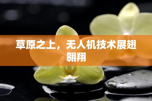 草原之上，无人机技术展翅翱翔