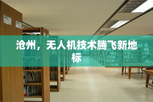 沧州，无人机技术腾飞新地标