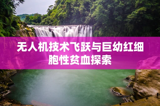 无人机技术飞跃与巨幼红细胞性贫血探索