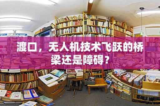 渡口，无人机技术飞跃的桥梁还是障碍？