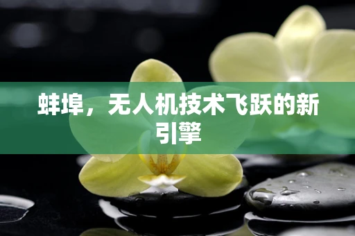 蚌埠，无人机技术飞跃的新引擎