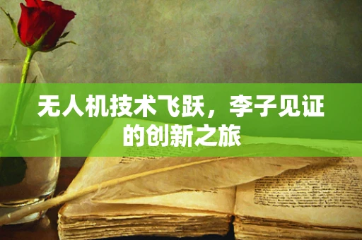 无人机技术飞跃，李子见证的创新之旅