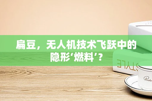 扁豆，无人机技术飞跃中的隐形‘燃料’？