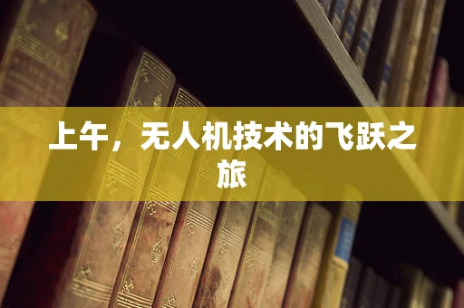 上午，无人机技术的飞跃之旅