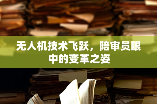 无人机技术飞跃，陪审员眼中的变革之姿