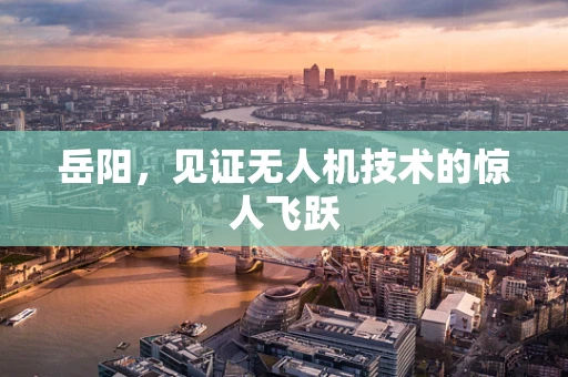岳阳，见证无人机技术的惊人飞跃