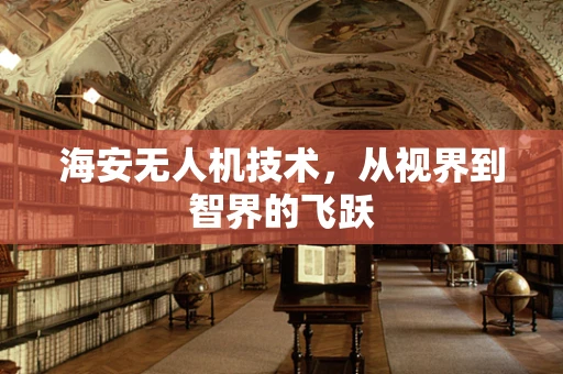 海安无人机技术，从视界到智界的飞跃