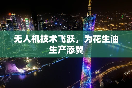 无人机技术飞跃，为花生油生产添翼