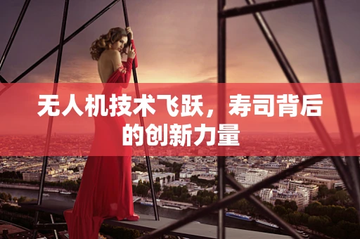 无人机技术飞跃，寿司背后的创新力量