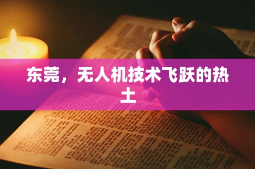 东莞，无人机技术飞跃的热土