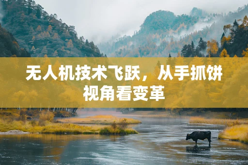 无人机技术飞跃，从手抓饼视角看变革