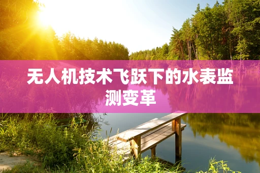 无人机技术飞跃下的水表监测变革