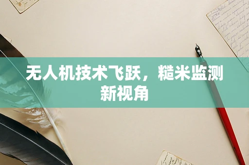 无人机技术飞跃，糙米监测新视角