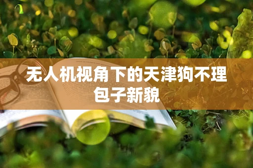 无人机视角下的天津狗不理包子新貌