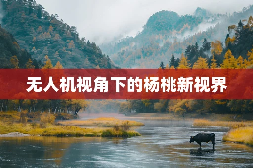 无人机视角下的杨桃新视界