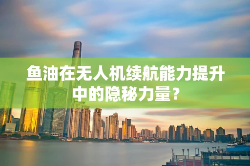 鱼油在无人机续航能力提升中的隐秘力量？