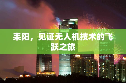 耒阳，见证无人机技术的飞跃之旅