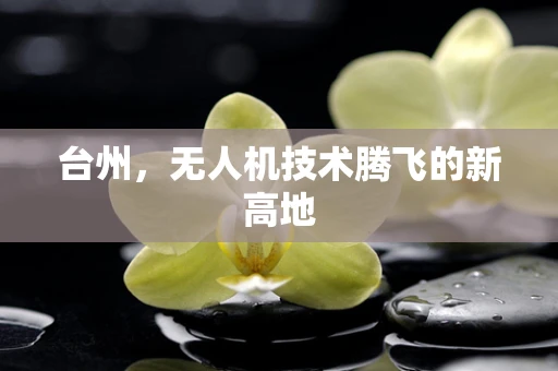 台州，无人机技术腾飞的新高地
