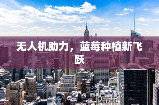 无人机助力，蓝莓种植新飞跃