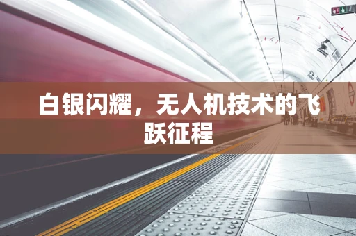 白银闪耀，无人机技术的飞跃征程
