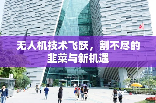 无人机技术飞跃，割不尽的韭菜与新机遇