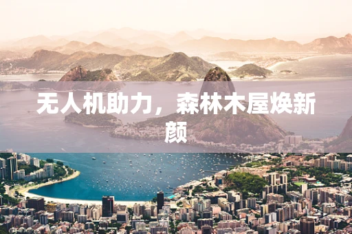无人机助力，森林木屋焕新颜