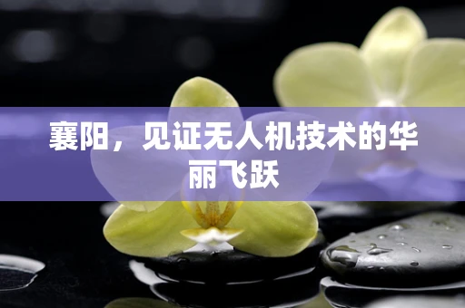 襄阳，见证无人机技术的华丽飞跃