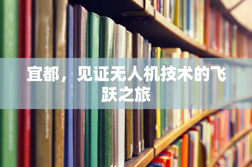 宜都，见证无人机技术的飞跃之旅