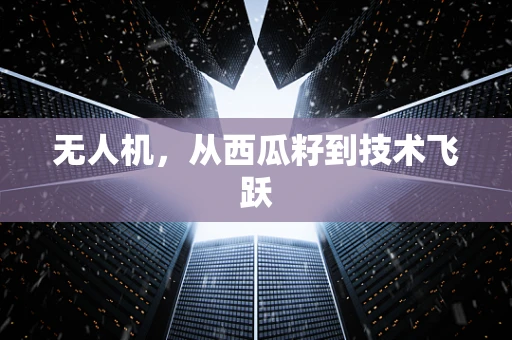 无人机，从西瓜籽到技术飞跃