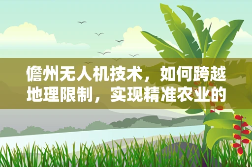 儋州无人机技术，如何跨越地理限制，实现精准农业的飞跃？