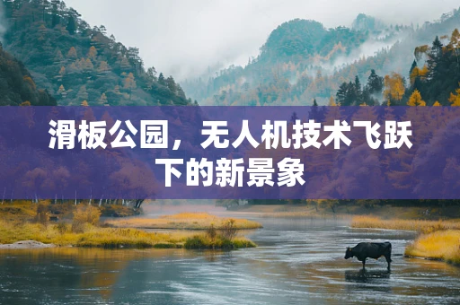 滑板公园，无人机技术飞跃下的新景象