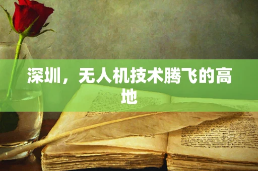 深圳，无人机技术腾飞的高地