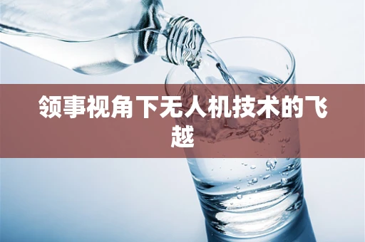 领事视角下无人机技术的飞越