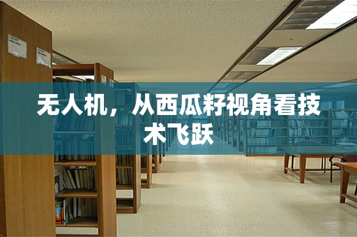 无人机，从西瓜籽视角看技术飞跃
