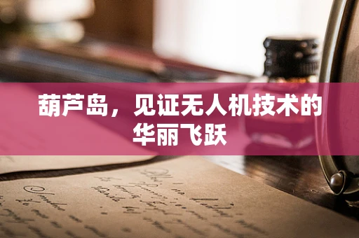 葫芦岛，见证无人机技术的华丽飞跃