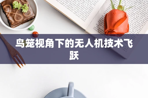 鸟笼视角下的无人机技术飞跃