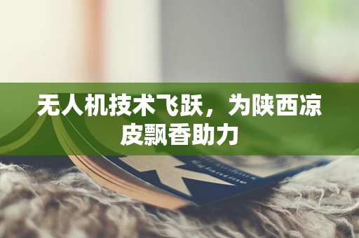 无人机技术飞跃，为陕西凉皮飘香助力