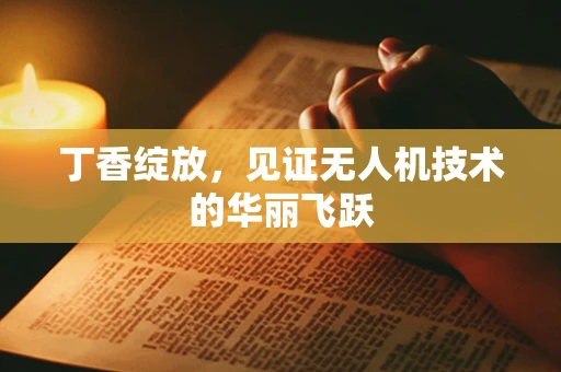 丁香绽放，见证无人机技术的华丽飞跃