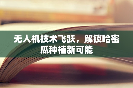 无人机技术飞跃，解锁哈密瓜种植新可能