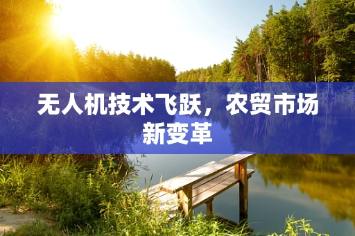 无人机技术飞跃，农贸市场新变革