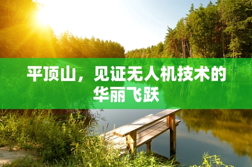 平顶山，见证无人机技术的华丽飞跃