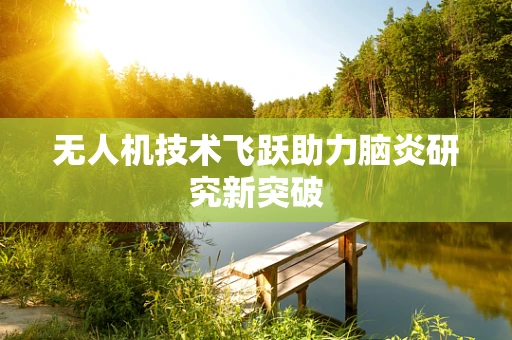 无人机技术飞跃助力脑炎研究新突破