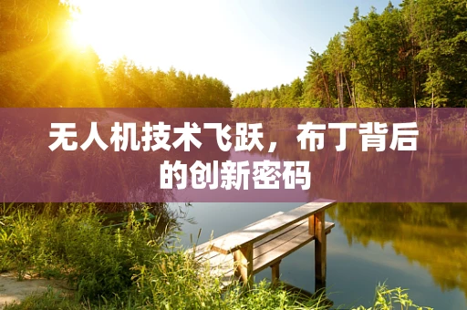 无人机技术飞跃，布丁背后的创新密码