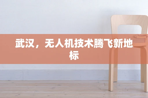 武汉，无人机技术腾飞新地标
