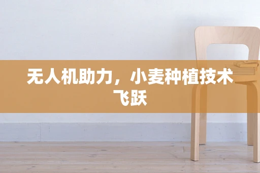 无人机助力，小麦种植技术飞跃