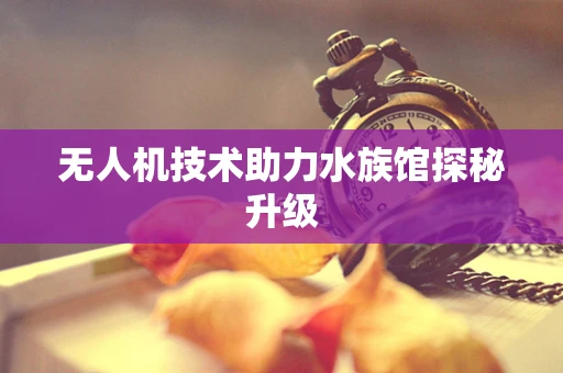 无人机技术助力水族馆探秘升级