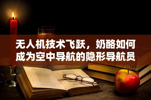 无人机技术飞跃，奶酪如何成为空中导航的隐形导航员？